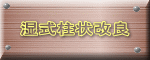 湿式柱状改良